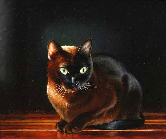 Animaux for Jahrriesnge cat-lpf02561 Compatible Animaux Jahrriesnge for cat-lpf02561