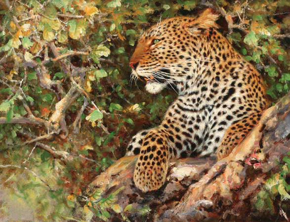 Animaux for Jahrriesnge leopard-lpf02565 Compatible Animaux Jahrriesnge for leopard-lpf02565
