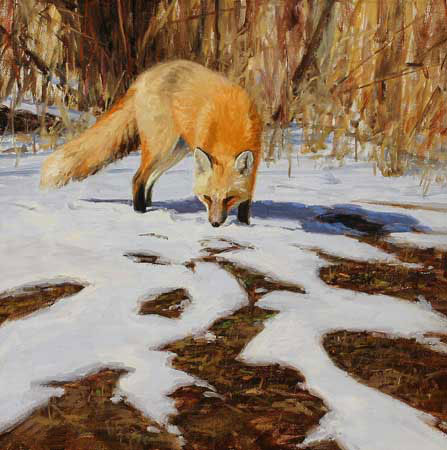 Animaux for Jahrriesnge fox-lpf02566 Compatible Animaux Jahrriesnge for fox-lpf02566