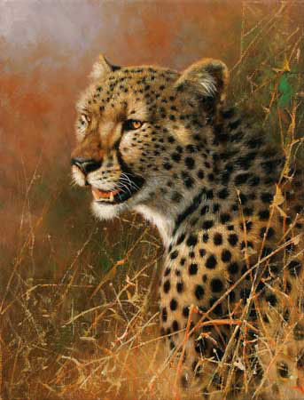 Animaux for Jahrriesnge leopard-lpf02567 Compatible Animaux Jahrriesnge for leopard-lpf02567