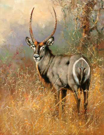 Animaux for Jahrriesnge antelope-lpf02568 Compatible Animaux Jahrriesnge for antelope-lpf02568