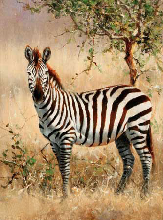 Animaux for Jahrriesnge zebra-lpf02570 Compatible Animaux Jahrriesnge for zebra-lpf02570