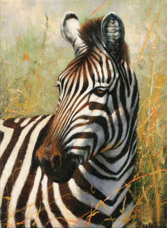 Animaux for Jahrriesnge zebra-lpf02572 Compatible Animaux Jahrriesnge for zebra-lpf02572