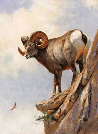 Animaux for Jahrriesnge bighorn-sheep-lpf02574 Compatible Animaux Jahrriesnge for bighorn-sheep-lpf02574