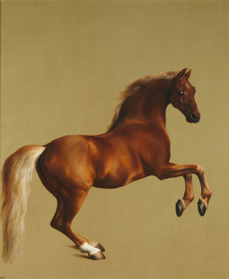 Animaux for Jahrriesnge horse-lpf02578 Compatible Animaux Jahrriesnge for horse-lpf02578