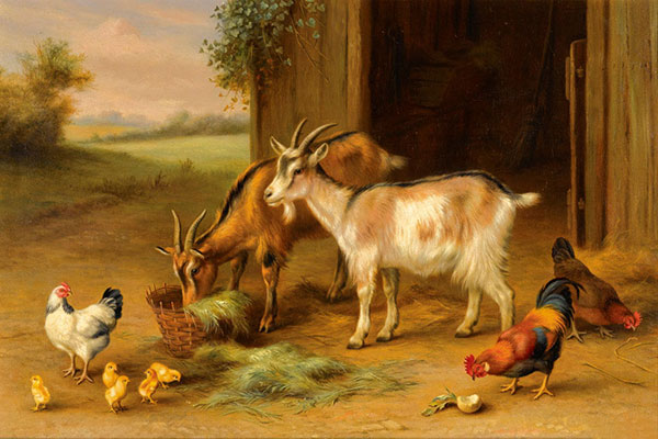 Animaux for Jahrriesnge animals-lpf02586 Compatible Animaux Jahrriesnge for animals-lpf02586