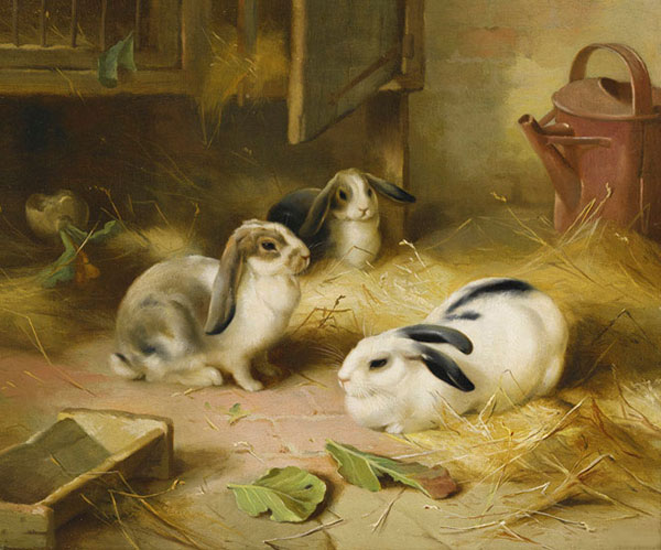 Animaux for Jahrriesnge rabbit-lpf02587 Compatible Animaux Jahrriesnge for rabbit-lpf02587