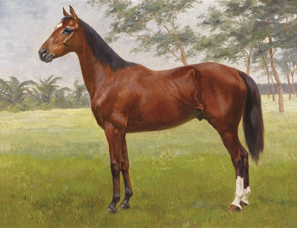 Animaux for Jahrriesnge brown-horse-lpf02590 Compatible Animaux Jahrriesnge for brown-horse-lpf02590