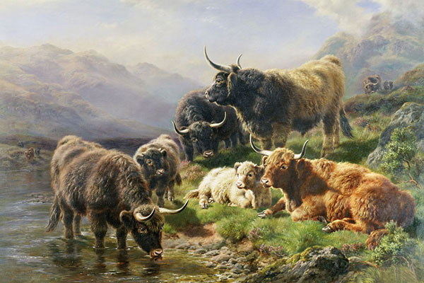Animaux for Jahrriesnge yak-lpf02600 Compatible Animaux Jahrriesnge for yak-lpf02600