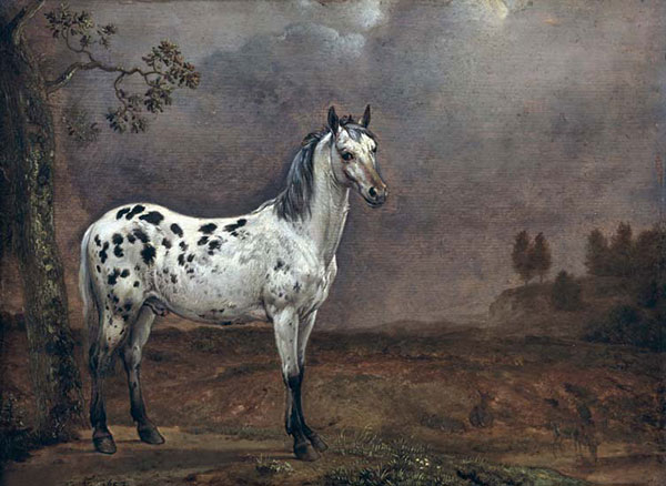 Animaux for Jahrriesnge horse-lpf02607 Compatible Animaux Jahrriesnge for horse-lpf02607