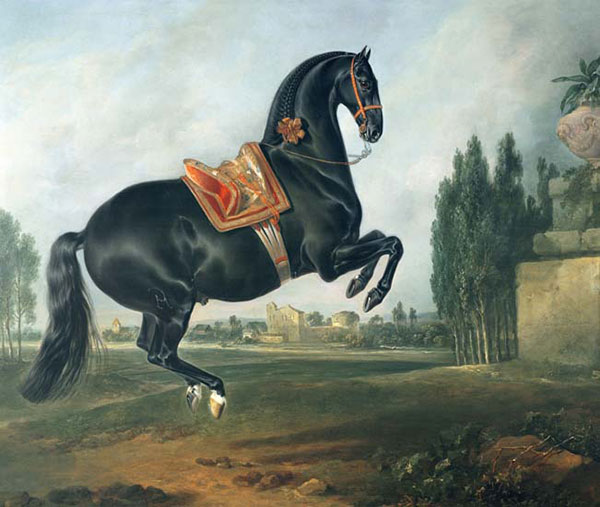 Animaux for Jahrriesnge horse-lpf02609 Compatible Animaux Jahrriesnge for horse-lpf02609