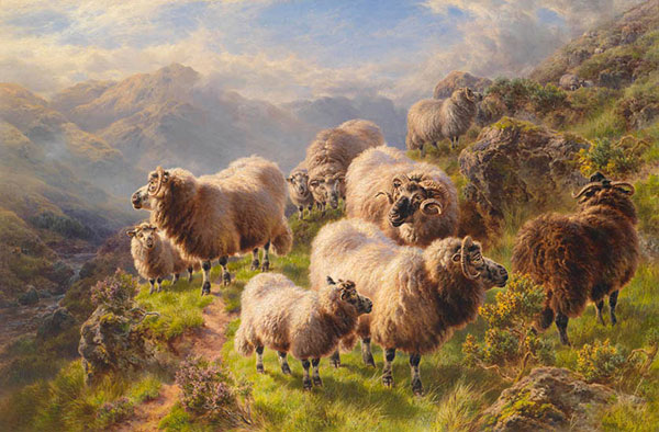 Animaux for Jahrriesnge karakul-sheep-lpf02617 Compatible Animaux Jahrriesnge for karakul-sheep-lpf02617