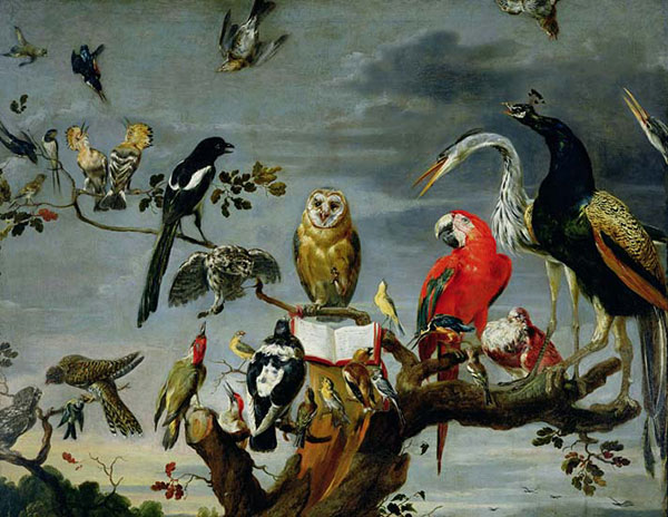 Animaux for Jahrriesnge birds-lpf02620 Compatible Animaux Jahrriesnge for birds-lpf02620