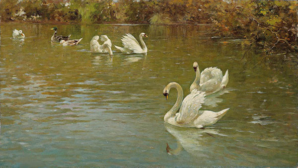 Animaux for Jahrriesnge mute-swan-lpf02626 Compatible Animaux Jahrriesnge for mute-swan-lpf02626