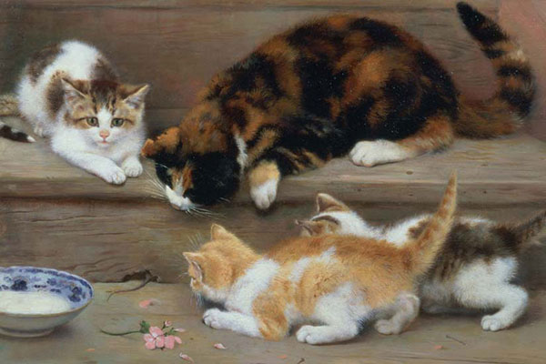 Animaux for Jahrriesnge cat-lpf02627 Compatible Animaux Jahrriesnge for cat-lpf02627