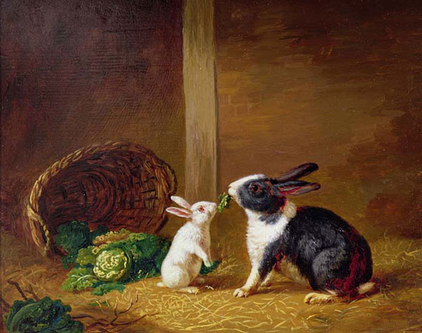 Animaux for Jahrriesnge rabbit-lpf02630 Compatible Animaux Jahrriesnge for rabbit-lpf02630