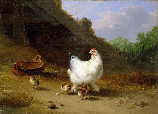 Animaux for Jahrriesnge hen-and-chick-lpf02632 Compatible Animaux Jahrriesnge for hen-and-chick-lpf02632