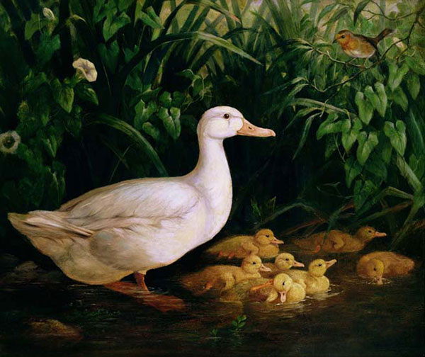 Animaux for Jahrriesnge mother-duck-and-duckling-lpf02634 Compatible Animaux Jahrriesnge for mother-duck-and-duckling-lpf02634