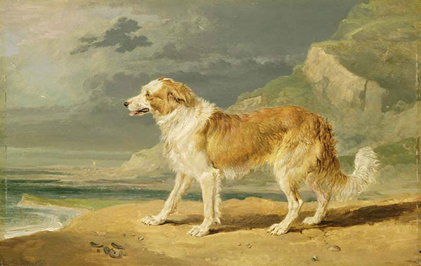 Animaux for Jahrriesnge dog-lpf02638 Compatible Animaux Jahrriesnge for dog-lpf02638