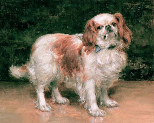 Animaux for Jahrriesnge dog-lpf02641 Compatible Animaux Jahrriesnge for dog-lpf02641