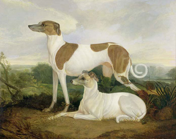 Animaux for Jahrriesnge dog-lpf02645 Compatible Animaux Jahrriesnge for dog-lpf02645