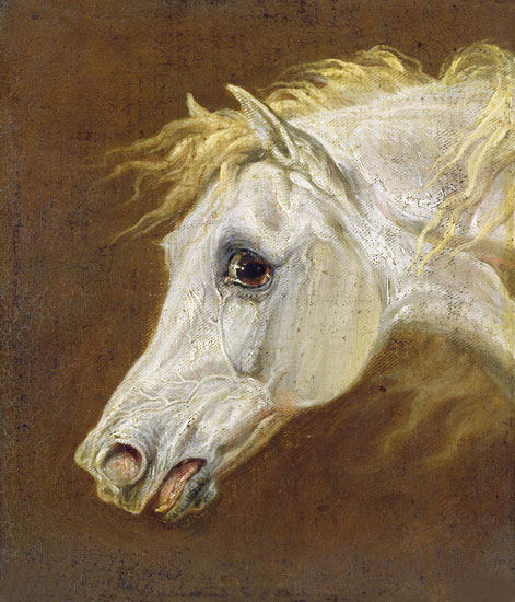 Animaux for Jahrriesnge horse-lpf02650 Compatible Animaux Jahrriesnge for horse-lpf02650