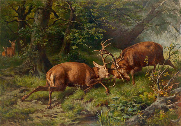 Animaux for Jahrriesnge elk-lpf02653 Compatible Animaux Jahrriesnge for elk-lpf02653