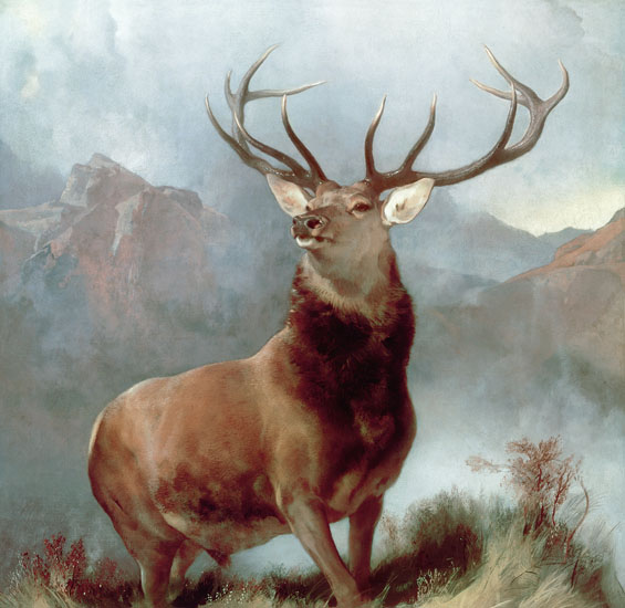 Animaux for Jahrriesnge red-deer-lpf02655 Compatible Animaux Jahrriesnge for red-deer-lpf02655