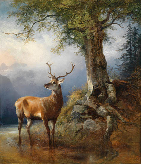 Animaux for Jahrriesnge deer-lpf02657 Compatible Animaux Jahrriesnge for deer-lpf02657
