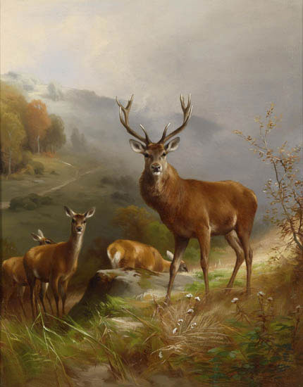 Animaux for Jahrriesnge deer-lpf02658 Compatible Animaux Jahrriesnge for deer-lpf02658