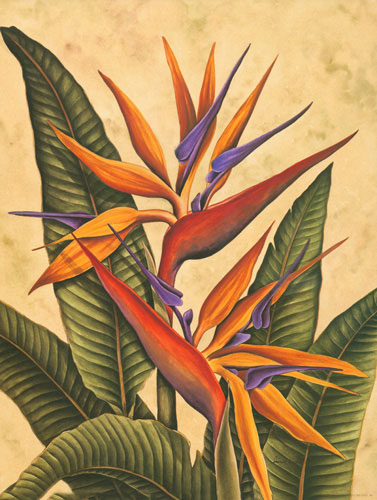 Floral for Jahrriesnge bird of paradise flower lpf04605 Compatible Floral Jahrriesnge for bird of paradise flower lpf04605