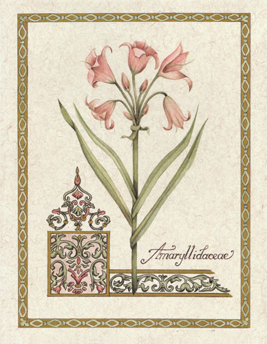 Floral for Jahrriesnge flower lpf04735 Compatible Floral Jahrriesnge for flower lpf04735