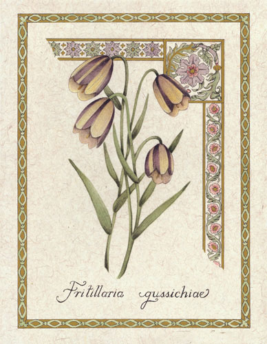 Floral for Jahrriesnge flower lpf04738 Compatible Floral Jahrriesnge for flower lpf04738
