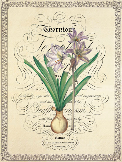 Floral for Jahrriesnge flower lpf04739 Compatible Floral Jahrriesnge for flower lpf04739