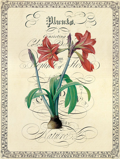 Floral for Jahrriesnge flower lpf04740 Compatible Floral Jahrriesnge for flower lpf04740