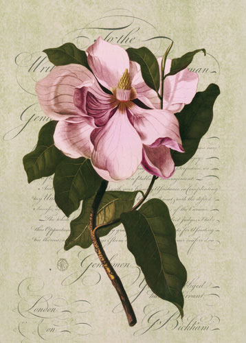 Floral for Jahrriesnge flowers lpf04758 Compatible Floral Jahrriesnge for flowers lpf04758