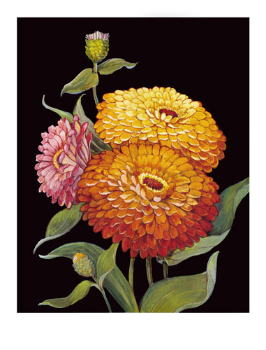 Floral for Jahrriesnge flowers lpf04812 Compatible Floral Jahrriesnge for flowers lpf04812