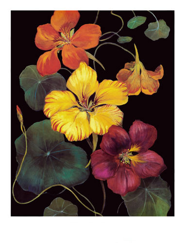 Floral for Jahrriesnge flowers lpf04813 Compatible Floral Jahrriesnge for flowers lpf04813