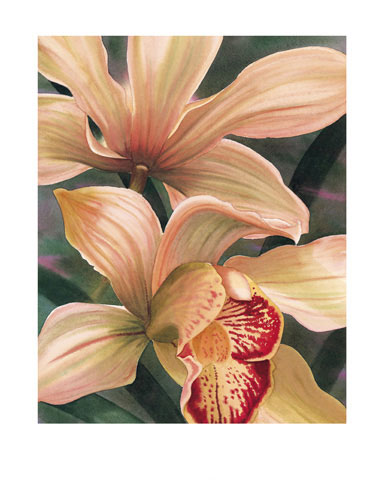 Floral for Jahrriesnge flowers lpf04815 Compatible Floral Jahrriesnge for flowers lpf04815