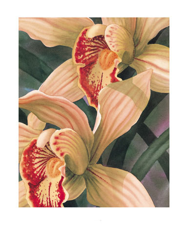 Floral for Jahrriesnge flowers lpf04816 Compatible Floral Jahrriesnge for flowers lpf04816