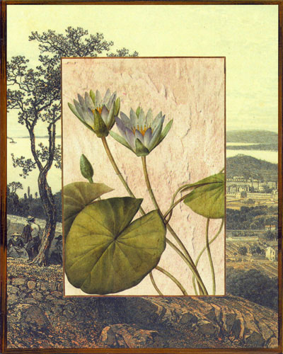 Floral for Jahrriesnge flowers lpf04828 Compatible Floral Jahrriesnge for flowers lpf04828