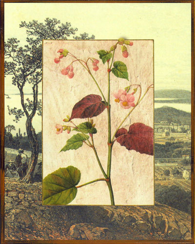 Floral for Jahrriesnge flowers lpf04829 Compatible Floral Jahrriesnge for flowers lpf04829
