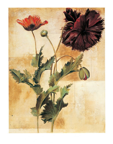 Floral for Jahrriesnge flowers lpf04871 Compatible Floral Jahrriesnge for flowers lpf04871