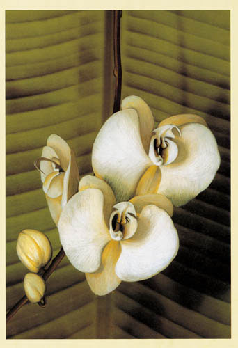 Floral for Jahrriesnge flowers lpf04907 Compatible Floral Jahrriesnge for flowers lpf04907