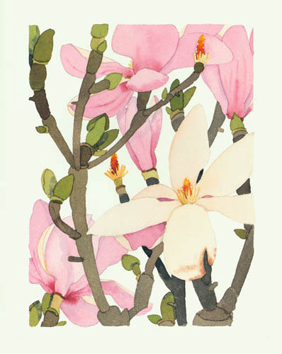 Floral for Jahrriesnge flowers lpf04909 Compatible Floral Jahrriesnge for flowers lpf04909