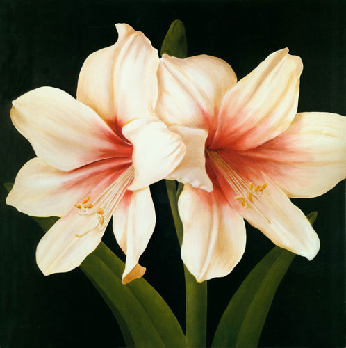 Floral for Jahrriesnge flowers lpf04951 Compatible Floral Jahrriesnge for flowers lpf04951