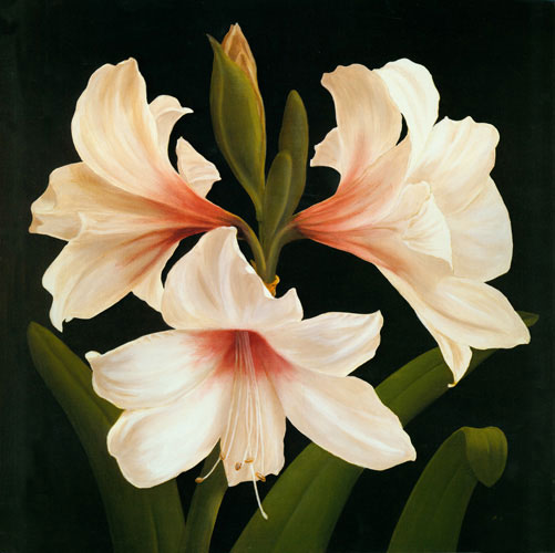 Floral for Jahrriesnge flowers lpf04952 Compatible Floral Jahrriesnge for flowers lpf04952