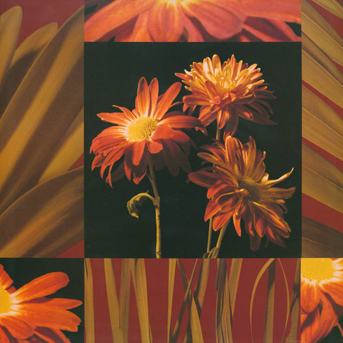 Floral for Jahrriesnge flowers lpf05007 Compatible Floral Jahrriesnge for flowers lpf05007