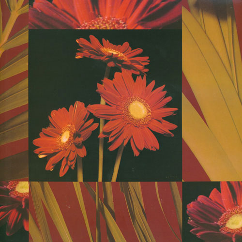 Floral for Jahrriesnge leaves lpf05008 Compatible Floral Jahrriesnge for leaves lpf05008