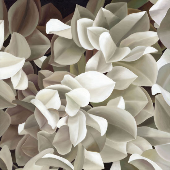 Floral for Jahrriesnge flowers lpf05180 Compatible Floral Jahrriesnge for flowers lpf05180